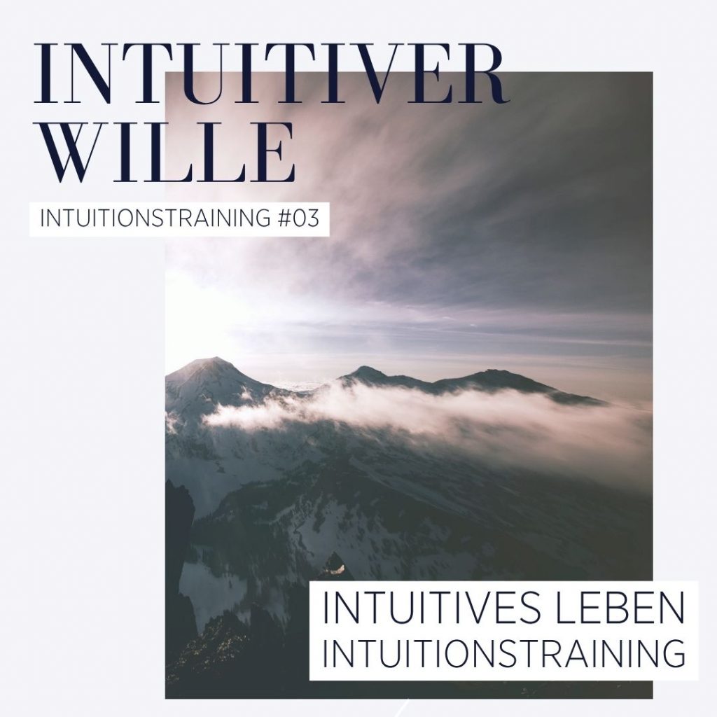 Intuitiver-Wille.jpg