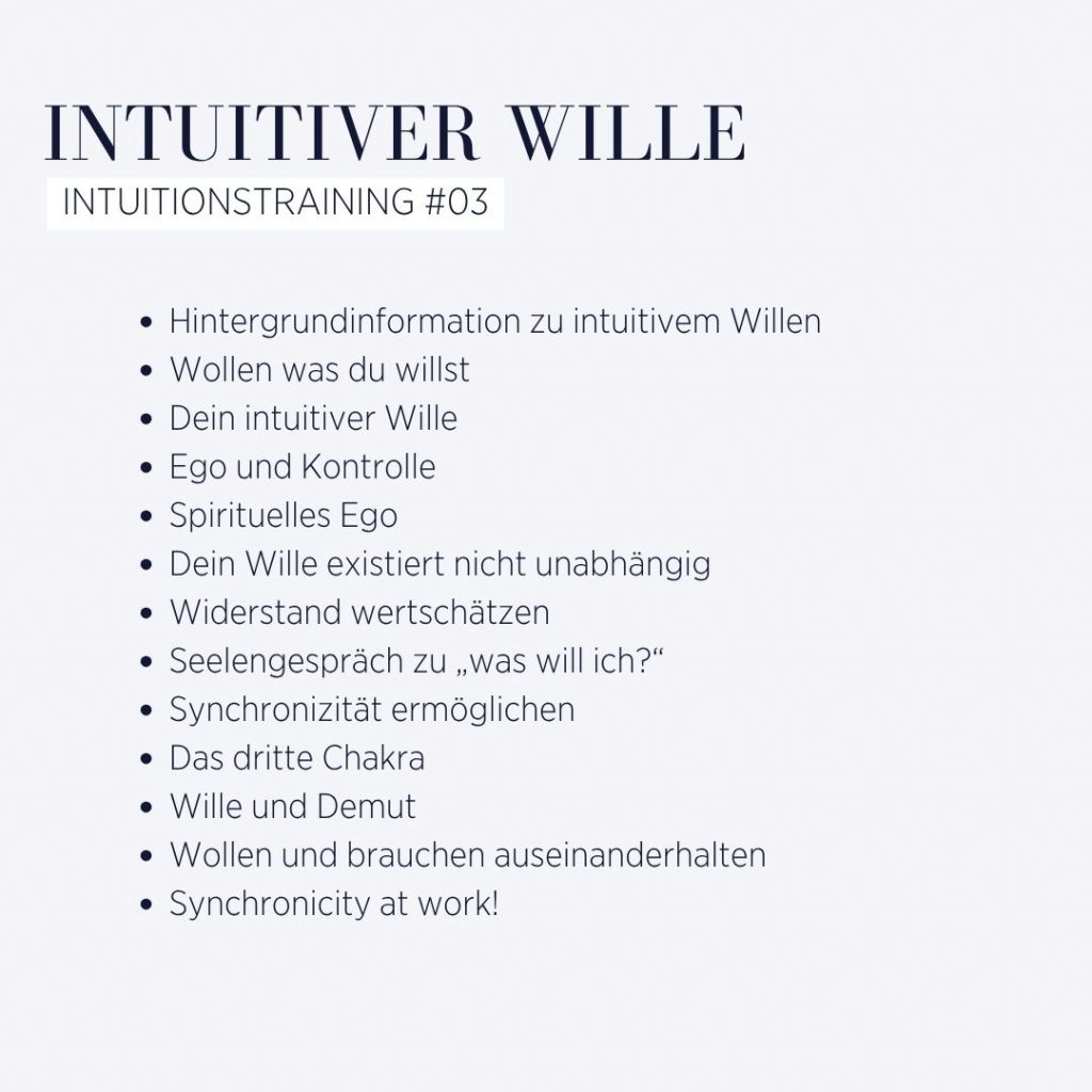 Intuitiver-Wille-Inhalt.jpg